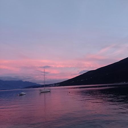 Apartman Gušt Herceg Novi Exteriér fotografie